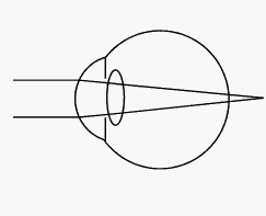 谷歌研究员揭秘Magic Leap为何能值45亿美元