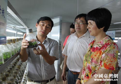 安徽马鞍山副市长王晓焱调研台资企业 安徽马鞍山副市长王晓焱调研台资企业