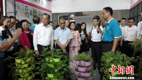 图为台湾精致农业技术展区。 康孝娟 摄