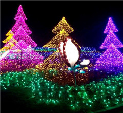 台湾北海岸展缤纷圣诞灯饰 打造冬日秘密花园