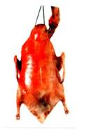 ǿѼ