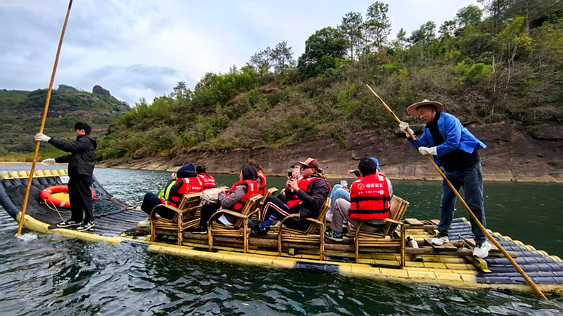 九曲茶路通两岸 九曲茶路通两岸