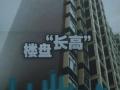 Ǳ915 ¥ӹ滮ߡ