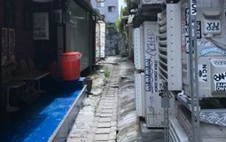 ƶ