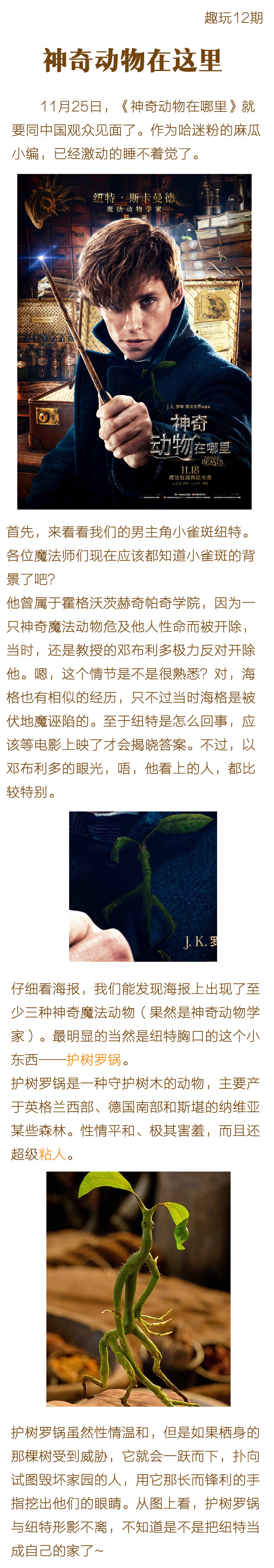 涯