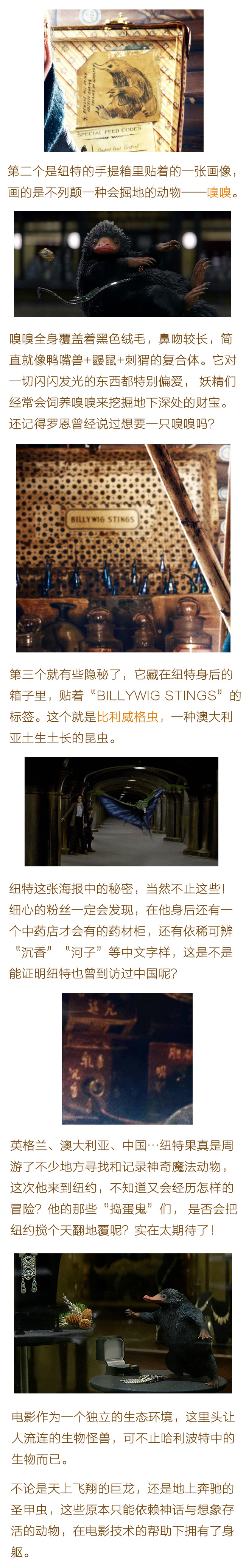 涯