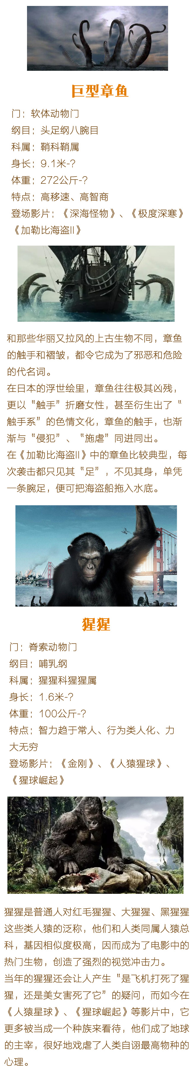涯