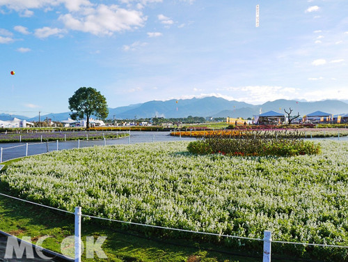 2014新社花海节将登场 缤纷花田浪漫玩台中 2014新社花海节将登场 缤纷花田浪漫玩台中