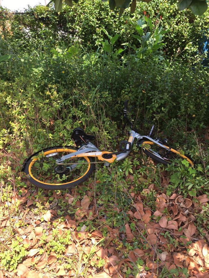 ̨干oBike ʮϪˮ