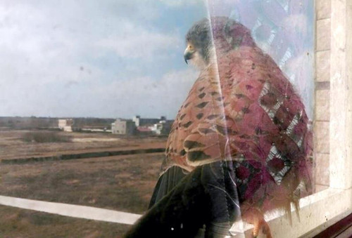 ؼҿݡͣܣͼ
