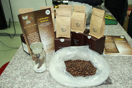 台湾一大学研发“麝香猫咖啡”耗时7年独步全球