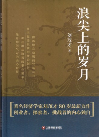 《浪尖上的岁月》