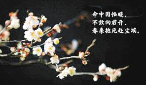 南京大学“单身·三行诗”走红 有的诗仅有三个字 南京大学“单身·三行诗”走红 有的诗仅有三个字