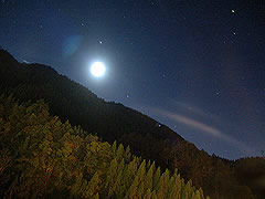 中区山海之旅二日游 溪头、杉林溪森林幽静、观星之旅