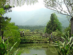中区山海之旅二日游 溪头、杉林溪森林幽静、观星之旅