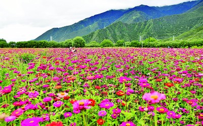 ڡĸɣؾ񣨿׷ɭ