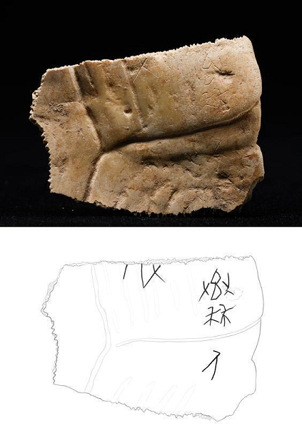 【高质量发展看陕西】文物焕活力,非遗正青春