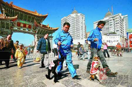 长臂猿牵手猴哥进城办年货 顺路给市民拜早年