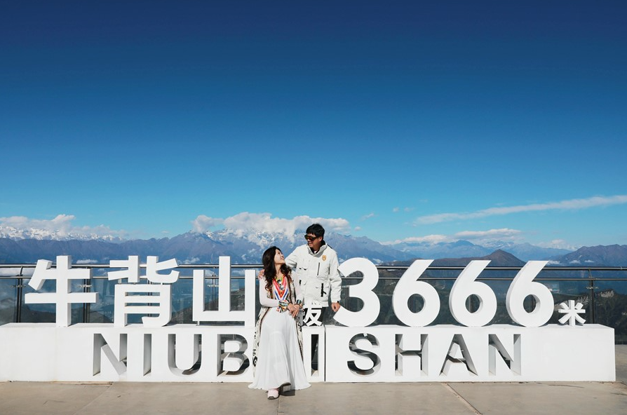 560364afc95a8081cc6aff5e4855fd4.png