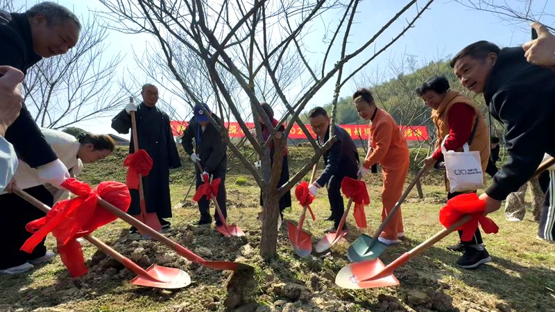 湖台乡亲共植“两岸同心林”