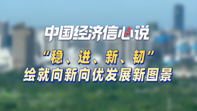 “稳、进、新、韧”绘就向新向优发展新图景 “稳、进、新、韧”绘就向新向优发展新图景