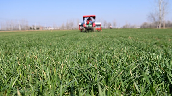 ץ���� ��ũʱ ϣ������Ұ���󡰸��������������ͼ��