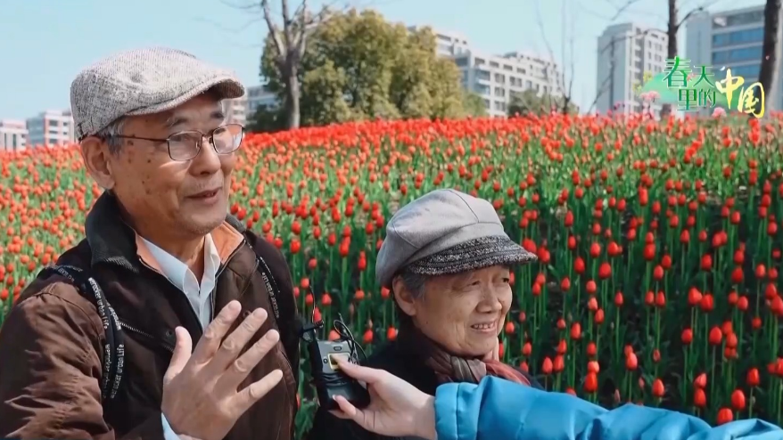 踏青赏花正当时 这些地方藏着春日浪漫花海 踏青赏花正当时 这些地方藏着春日浪漫花海