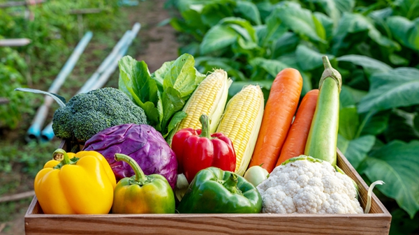 ��벢��Ӧ�Ժ����������� �����ػ����ա������ӡ�