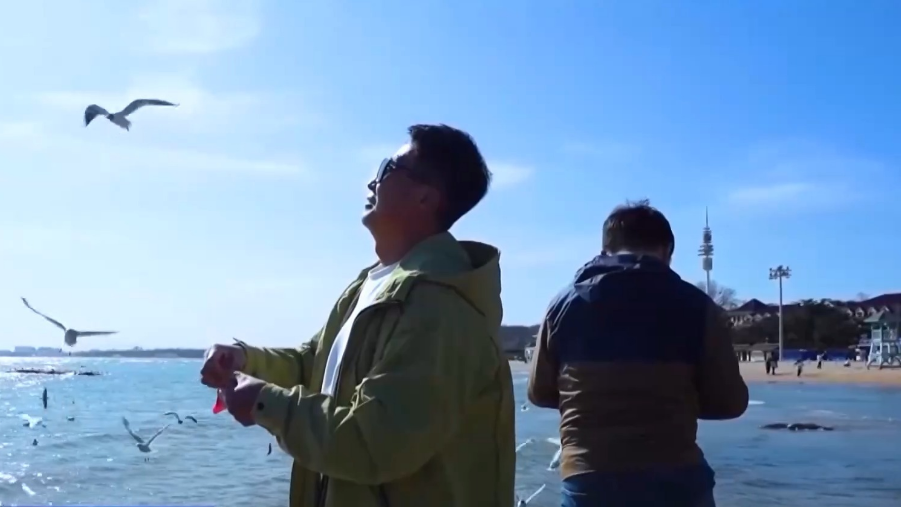 放风筝、观海鸥……清明踏青尽享春日勃勃生机 放风筝、观海鸥……清明踏青尽享春日勃勃生机