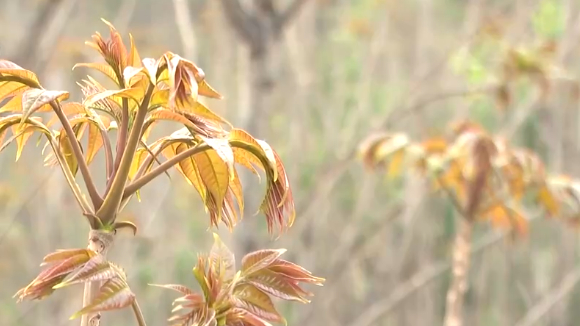 ʱ�Ư��������������ʽ������ ��ݴ����ʻ�����ָ�����պ�