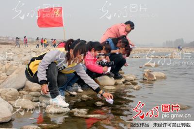 河南南召:学生绿色环保祭英烈
