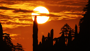 ���� �������������ӷ� ���ߵ�λ����ɽʨ�ִ�Ƶ�_����1.jpg