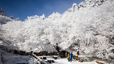 ������������ ���� �¾�_����1.jpg