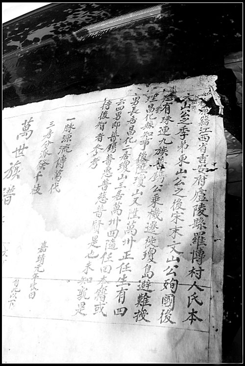 ���϶������ϼ���:�������������ֱϵ�����