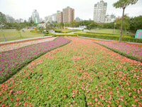 大安森林公园